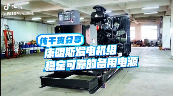 「視頻」如何應(yīng)對夏天斷電危機(jī)？640KW康明斯發(fā)電機(jī)組助您輕松應(yīng)對挑戰(zhàn) 